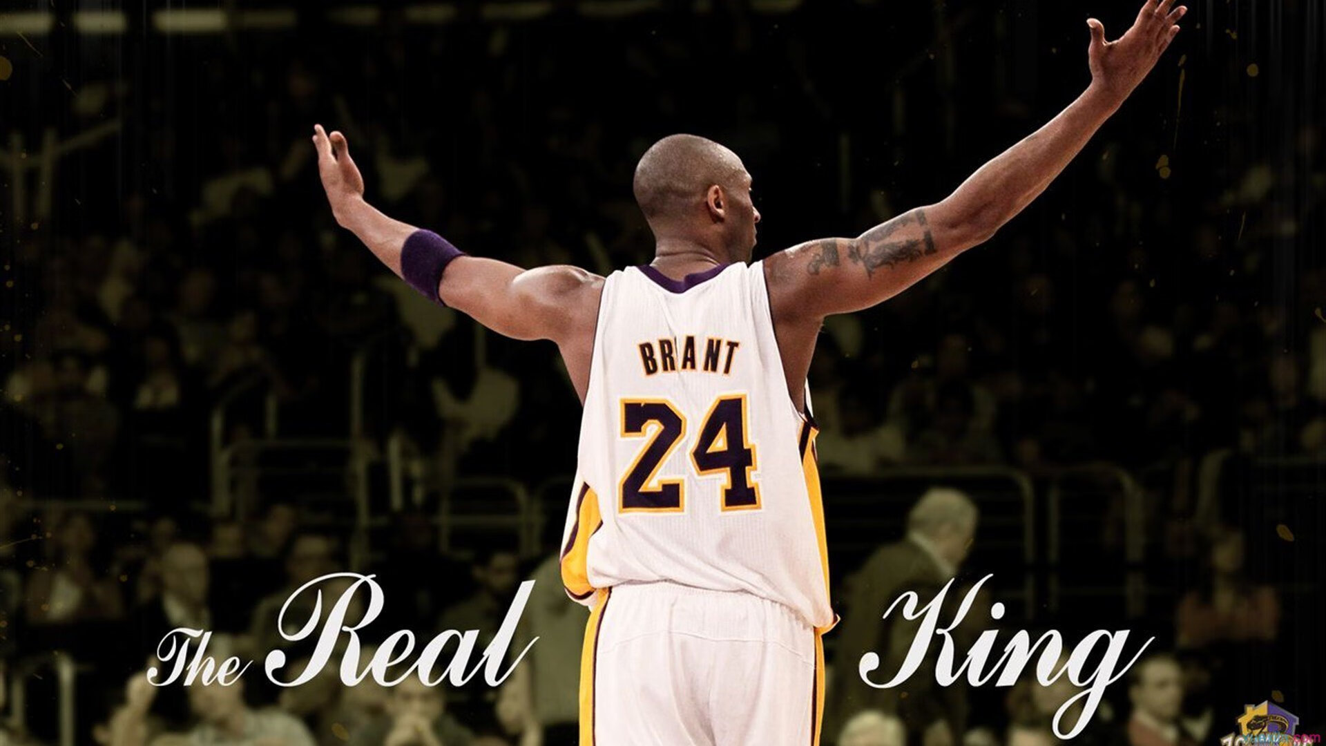 篮球运动员心理健康教育力度加强,篮球运动员的心理选材